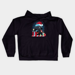 Black Labrador Dog Christmas Kids Hoodie